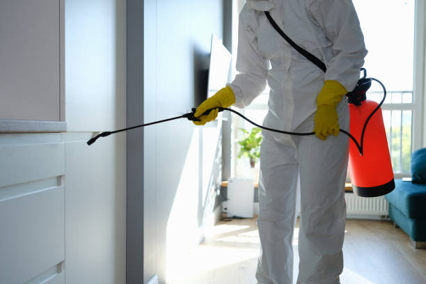 Mold Remediation for Vacation Homes in Addison, TX